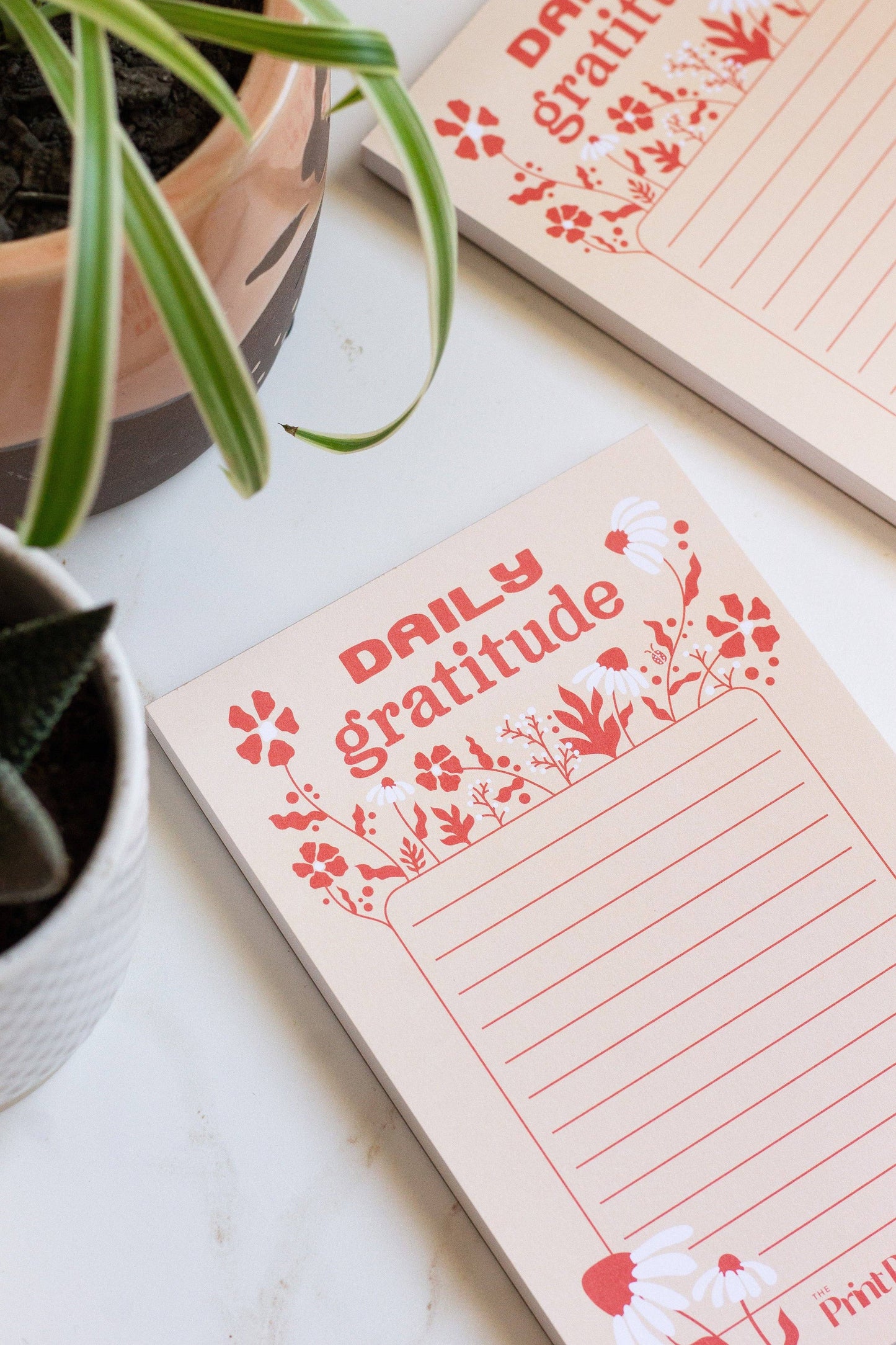 Daily Gratitude Notepad